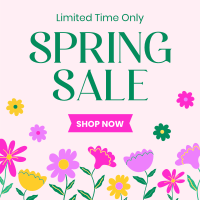 Celebrate Spring Sale Linkedin Post Preview