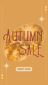 Shop Autumn Sale Instagram story Image Preview
