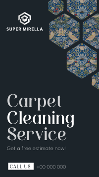 Clean that Filthy Carpet Facebook Story Design