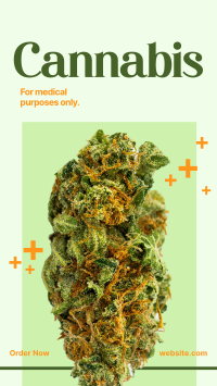 Medicinal Cannabis TikTok video Image Preview