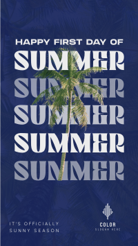 Summer Palm Tree Instagram story Image Preview