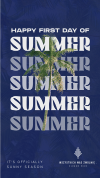 Summer Palm Tree Instagram story Image Preview