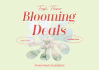 Fresh Flower Deals Postcard Design