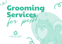 Premium Grooming Services Postcard Image Preview
