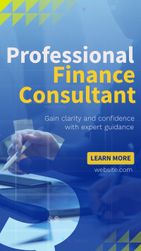 Professional Finance Consultant TikTok video Image Preview