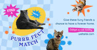 Adopt a Cat Facebook ad Image Preview
