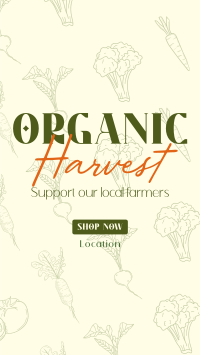 Organic Harvest TikTok video Image Preview