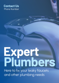 Expert Plumbers Poster Image Preview