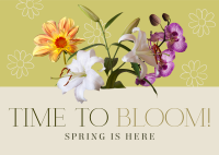 Bloom Spring Greeting Postcard Design