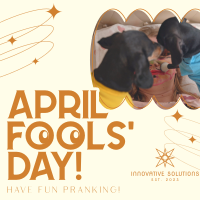 Quirky April Fools' Day Instagram post Image Preview