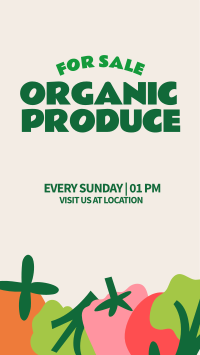 Organic Vegetables Instagram Story Design