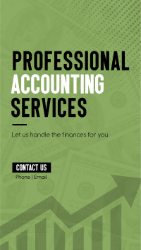 Accounting Professionals Instagram Story Design