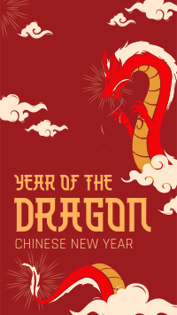 Chinese Dragon Zodiac TikTok video Image Preview