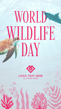 Aquatic Wildlife  Instagram Reel Design