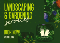 Landscaping & Gardening Postcard Design