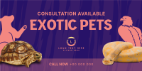 Exotic Vet Consultation Twitter post Image Preview