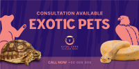 Exotic Vet Consultation Twitter Post Image Preview