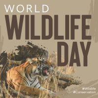 Wildlife Conservation Linkedin Post Preview