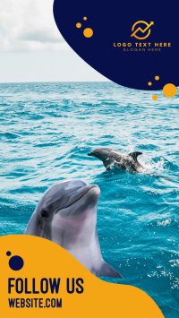 Follow Us Aquatic Dolphin Instagram Story Design