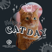 Furry Cat Is Here Instagram Post Preview