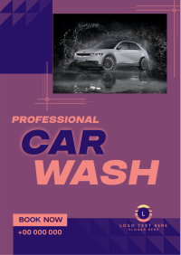Professional Car Wash Services Flyer Image Preview