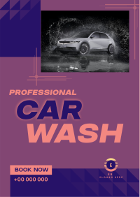 Professional Car Wash Services Flyer Image Preview