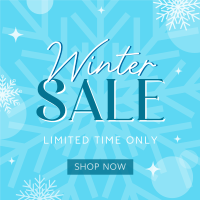 Winter Shopping  Sale Linkedin Post Image Preview