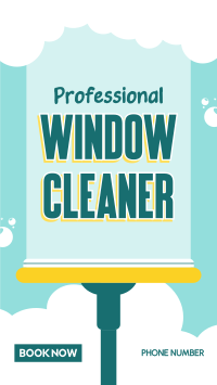 Window Experts YouTube short Image Preview