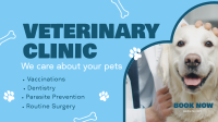 Professional Veterinarian Clinic Animation Image Preview