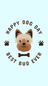Yorkie Happy Dog Day Instagram Story Design