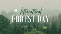 Minimalist Forest Day Video Image Preview