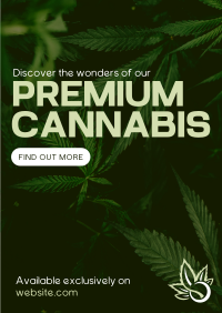 Premium Cannabis Flyer Image Preview