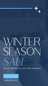 Winter Season Sale Instagram story Image Preview