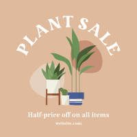 Quirky Plant Sale Instagram Post Design