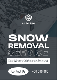 Pro Snow Removal Poster Image Preview