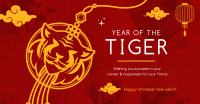Tiger Lantern Facebook ad Image Preview
