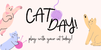 Cat Playtime Twitter post Image Preview