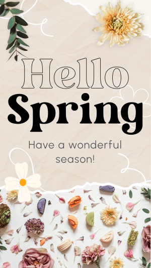 Hello Spring Instagram story Image Preview