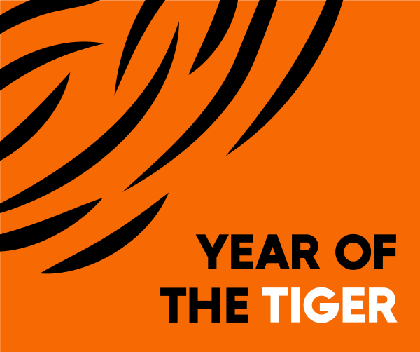 Tiger Stripes Facebook Post Design Image Preview