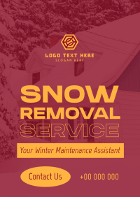 Pro Snow Removal Flyer Image Preview