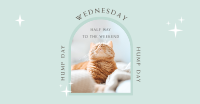 Wednesday Hump Day Facebook Ad Image Preview