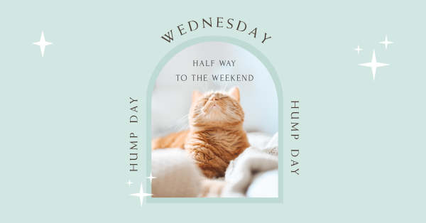 Wednesday Hump Day Facebook Ad Design Image Preview