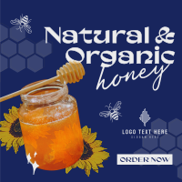 Delicious Organic Pure Honey Instagram post Image Preview