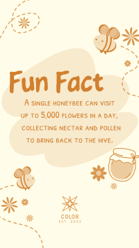 Bee Day Fun Fact Instagram Reel Image Preview