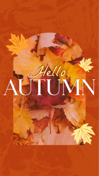 Hello There Autumn Greeting Facebook Story Image Preview