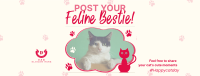 Cat Appreciation Post  Facebook Cover Design