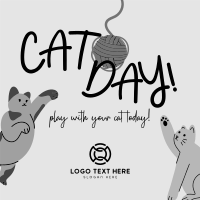 Cat Playtime Linkedin Post Preview