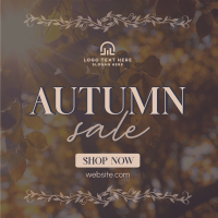 Special Autumn Sale  Linkedin Post Image Preview