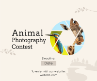 Animals Photography Contest Facebook post Image Preview