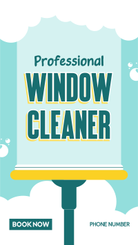 Window Experts Video Image Preview